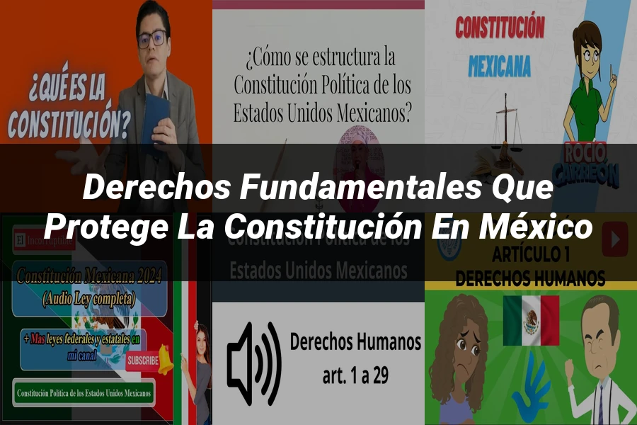 "Derechos fundamentales que protege la Constitución en México"