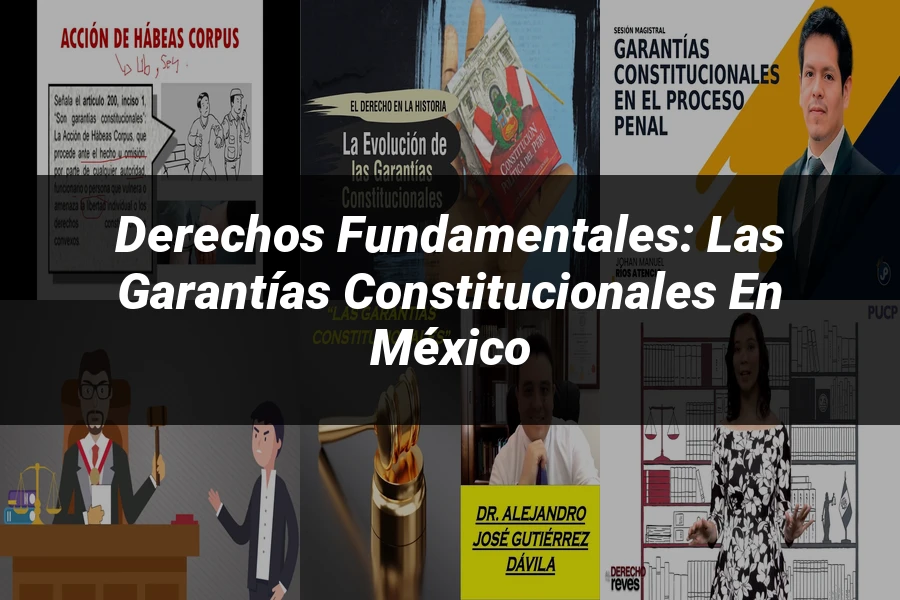 "Derechos fundamentales: las garantías constitucionales en México"