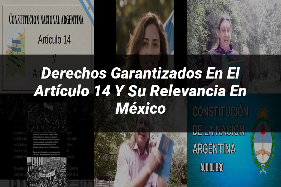 "Derechos garantizados en el artículo 14 y su relevancia en México"