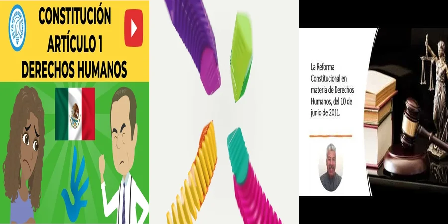 "Derechos humanos en la constitución: ¿Qué significan para ti?"