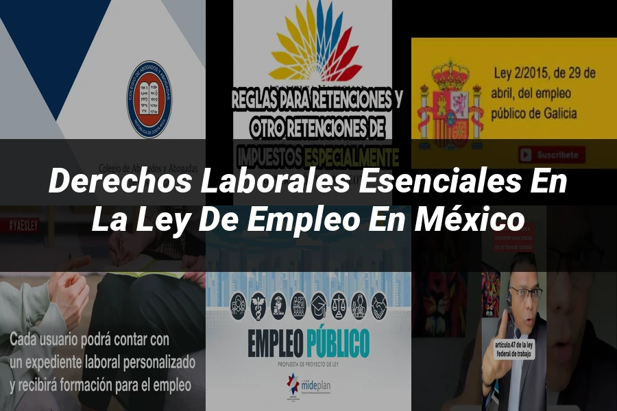 "Derechos laborales esenciales en la ley de empleo en México"