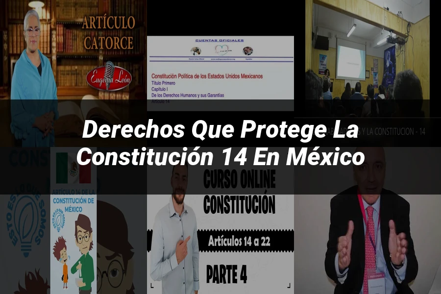 "Derechos que Protege la Constitución 14 en México"