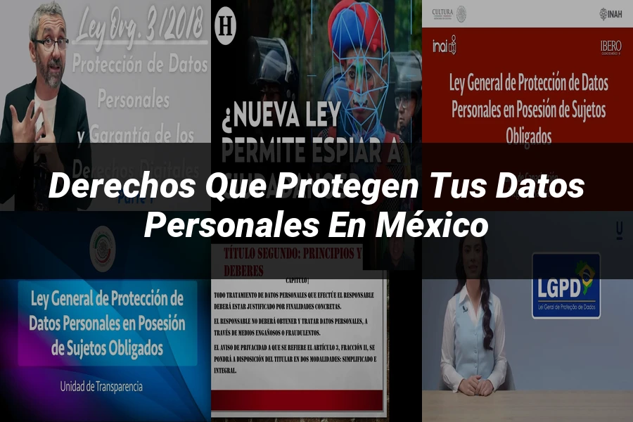 "Derechos que Protegen tus Datos Personales en México"