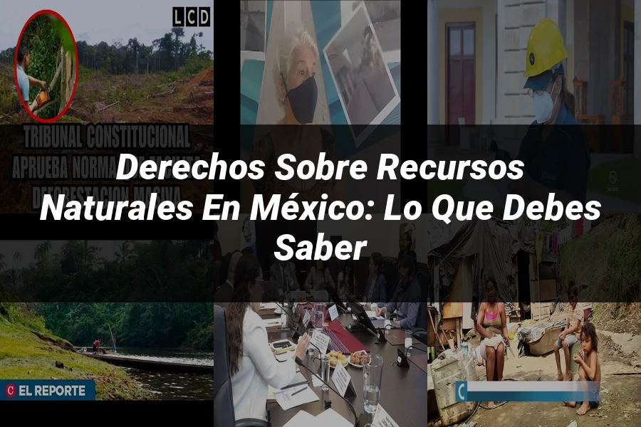 "Derechos sobre Recursos Naturales en México: Lo que Debes Saber"