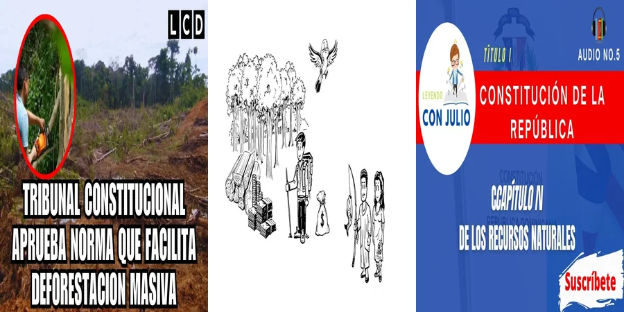 "Derechos sobre Recursos Naturales en México: Lo que Debes Saber"