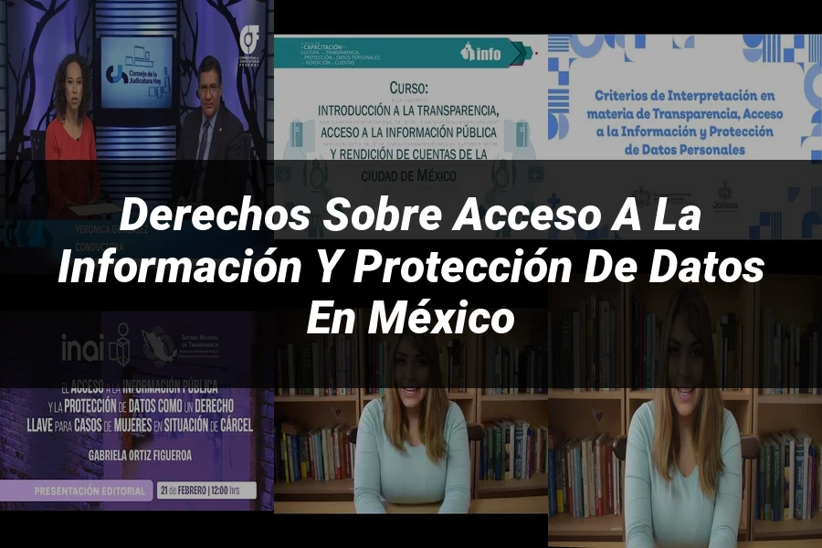 "Derechos sobre acceso a la información y protección de datos en México"