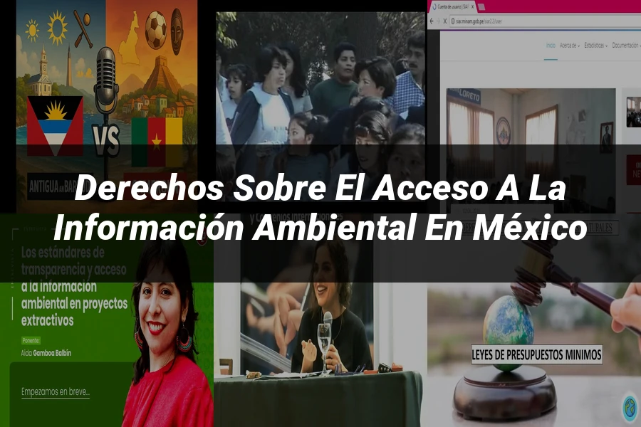 "Derechos sobre el acceso a la información ambiental en México"