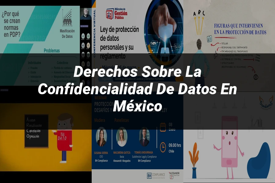 "Derechos sobre la confidencialidad de datos en México"