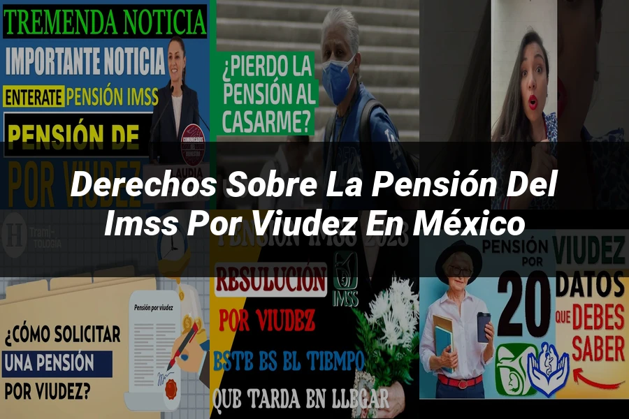 "Derechos sobre la pensión del IMSS por viudez en México"