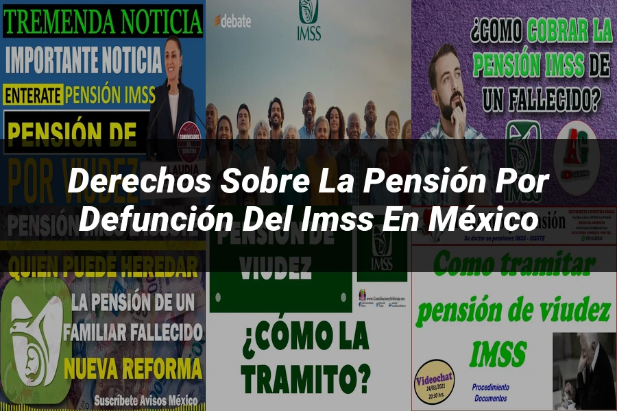 "Derechos sobre la pensión por defunción del IMSS en México"