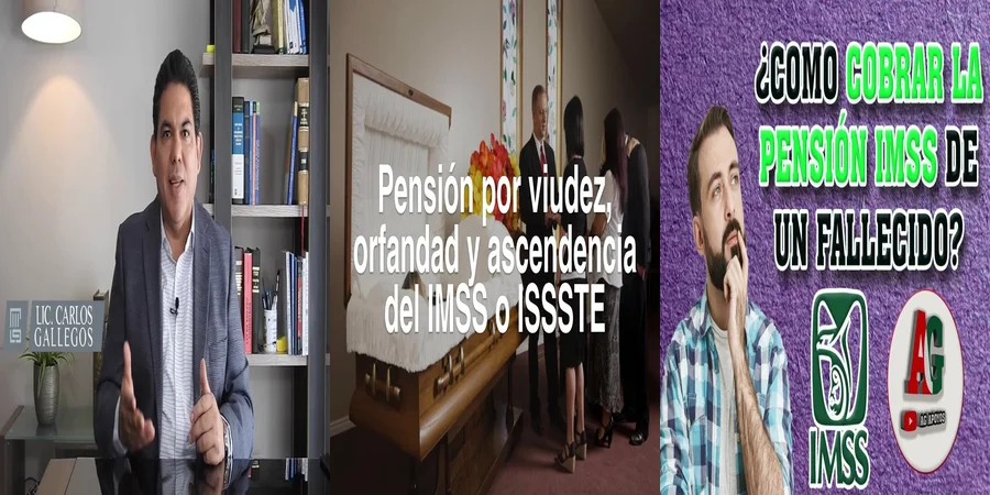 "Derechos sobre la pensión por defunción del IMSS en México"