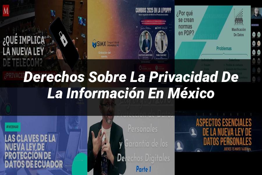 "Derechos sobre la privacidad de la información en México"