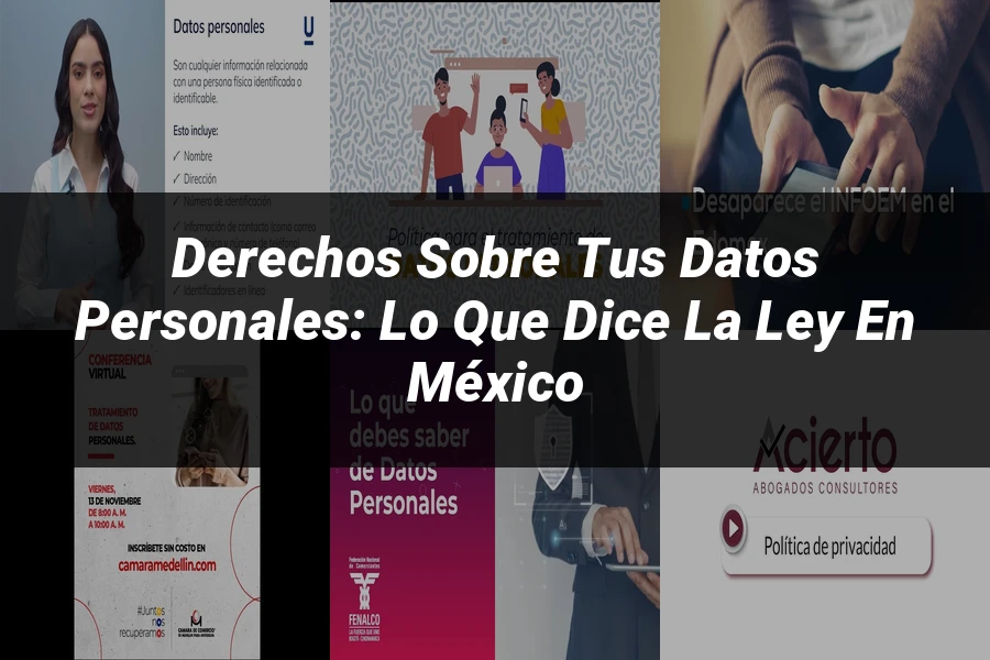 "Derechos sobre tus Datos Personales: Lo que Dice la Ley en México"