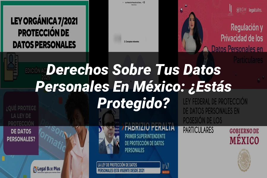 "Derechos sobre tus datos personales en México: ¿Estás protegido?"