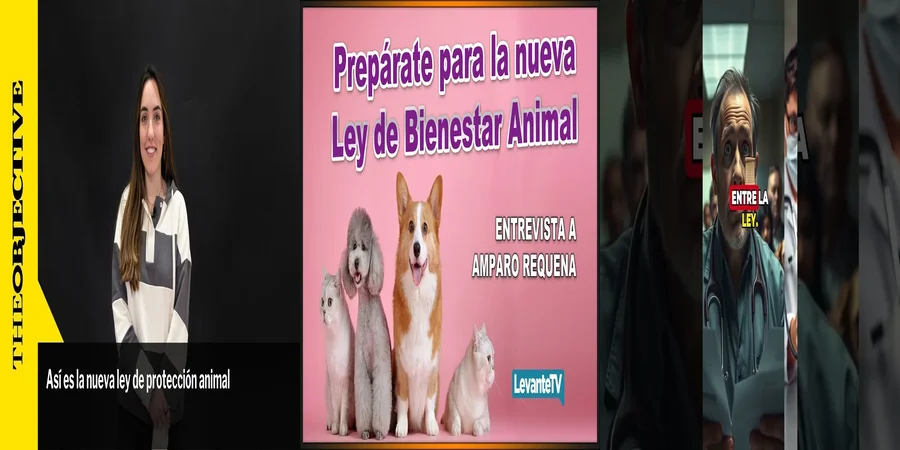 "Derechos y Deberes de las Mascotas según la Nueva Ley en México"