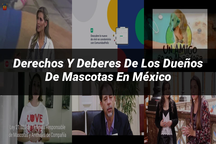 "Derechos y Deberes de los Dueños de Mascotas en México"