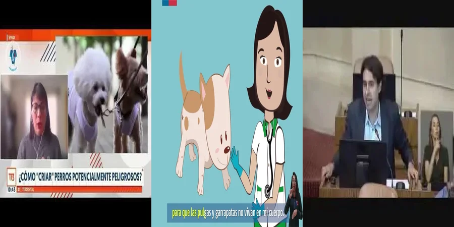 "Derechos y Deberes de los Dueños de Mascotas en México"