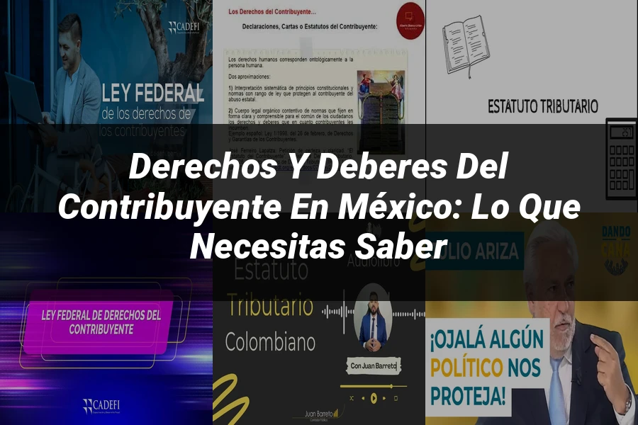 "Derechos y Deberes del Contribuyente en México: Lo que Necesitas Saber"