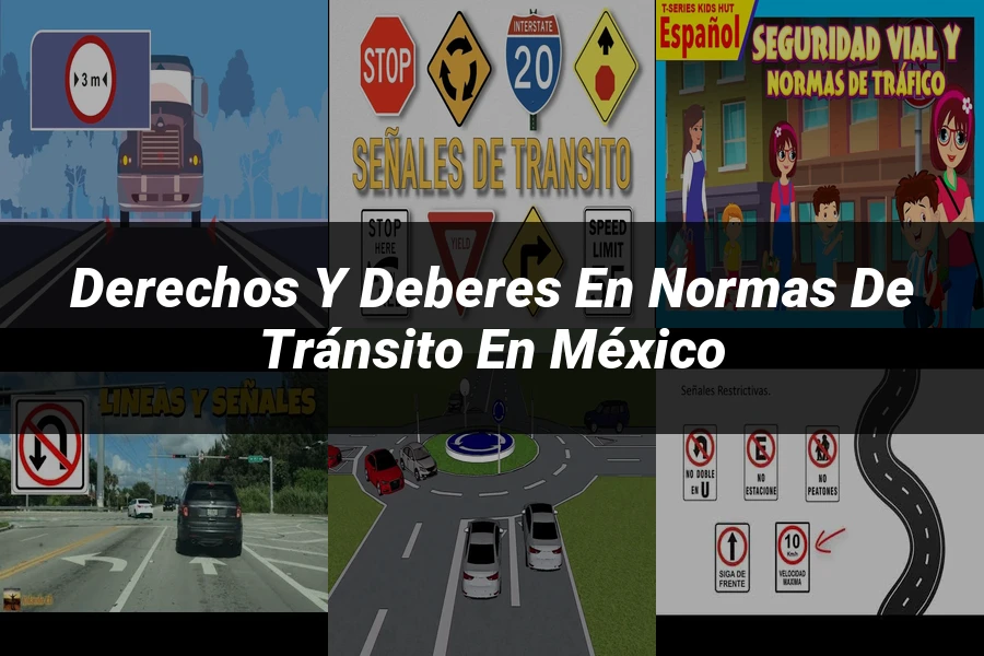 "Derechos y Deberes en Normas de Tránsito en México"