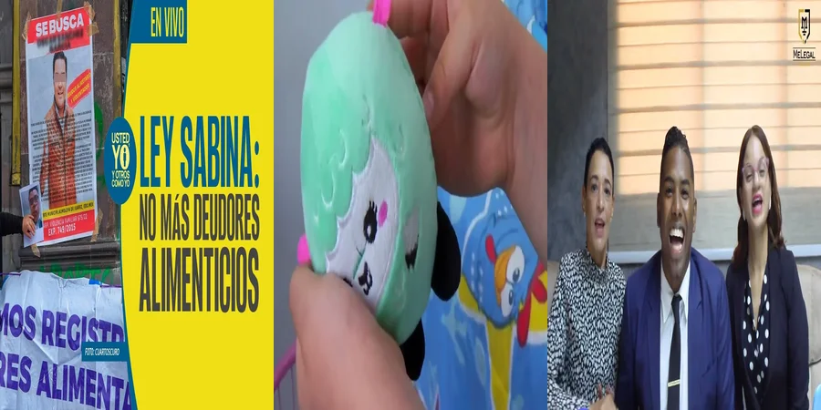 "Derechos y Deberes en Pensiones Alimenticias en México"