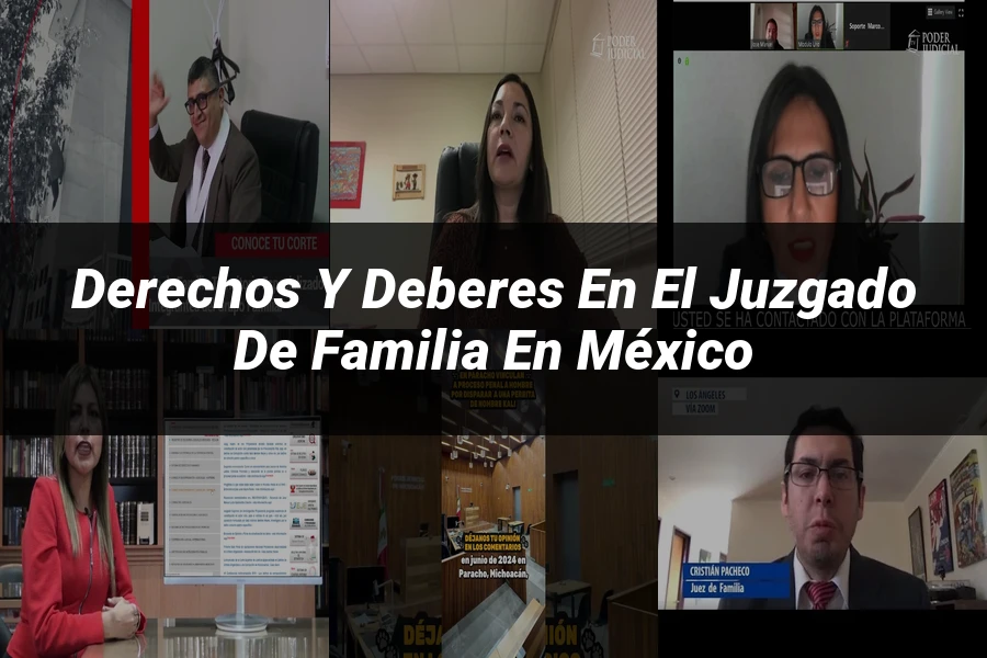 "Derechos y Deberes en el Juzgado de Familia en México"