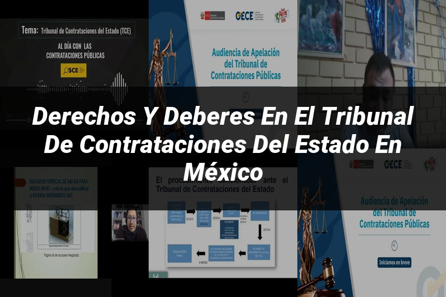 "Derechos y Deberes en el Tribunal de Contrataciones del Estado en México"