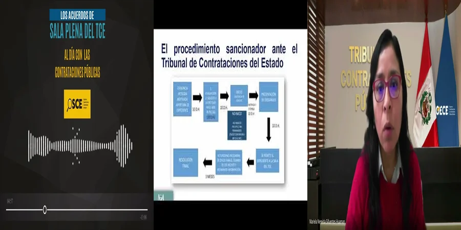 "Derechos y Deberes en el Tribunal de Contrataciones del Estado en México"