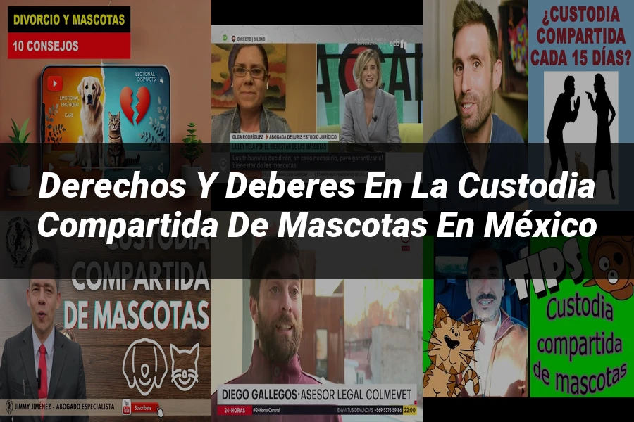 "Derechos y Deberes en la Custodia Compartida de Mascotas en México"
