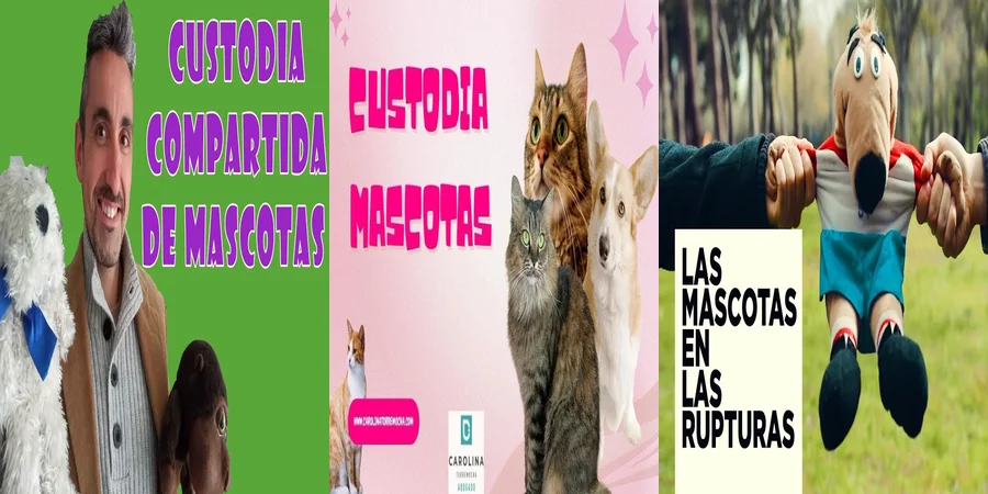 "Derechos y Deberes en la Custodia Compartida de Mascotas en México"
