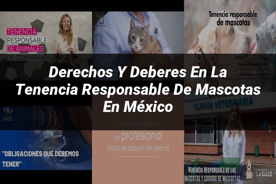 "Derechos y Deberes en la Tenencia Responsable de Mascotas en México"