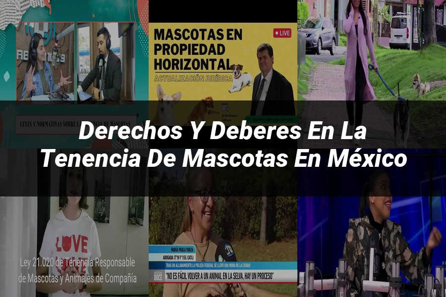"Derechos y Deberes en la Tenencia de Mascotas en México"