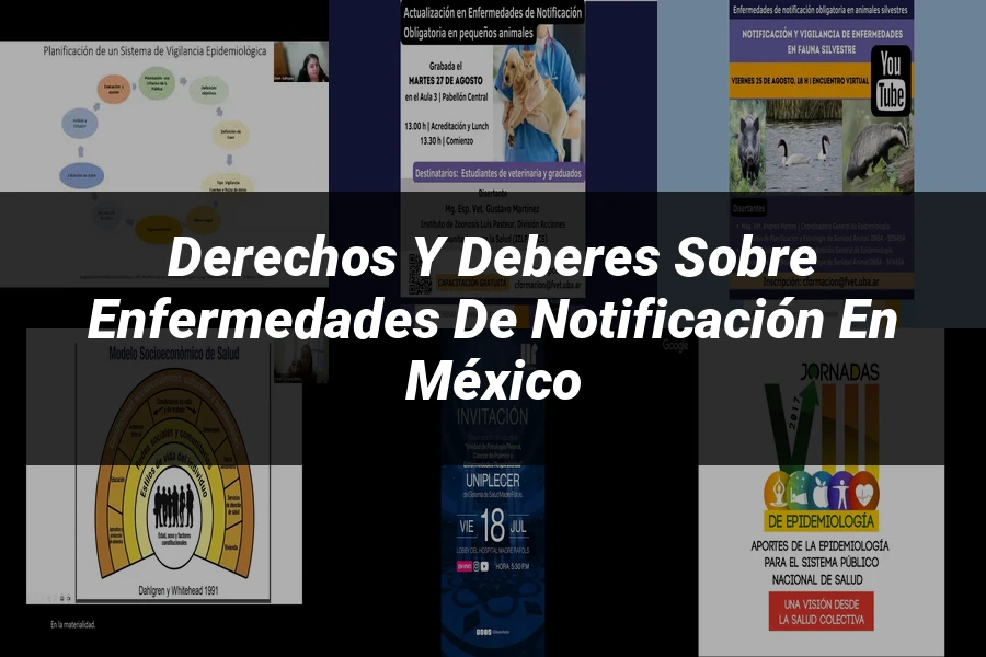 "Derechos y Deberes sobre Enfermedades de Notificación en México"