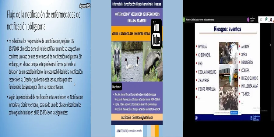 "Derechos y Deberes sobre Enfermedades de Notificación en México"
