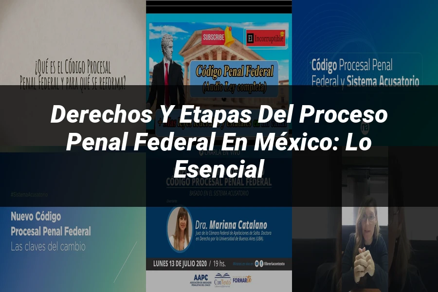 "Derechos y Etapas del Proceso Penal Federal en México: Lo Esencial"