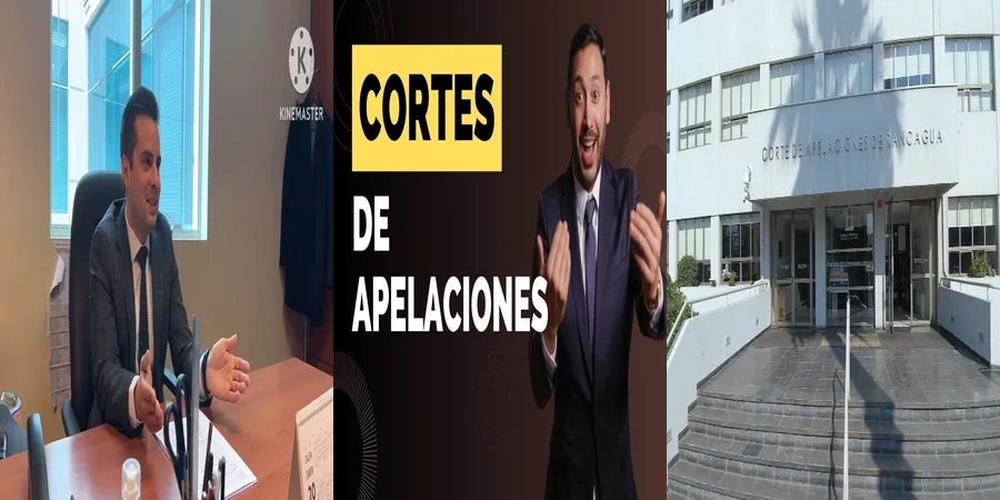 "Derechos y Funciones de los Abogados en la Corte de Apelaciones en México"