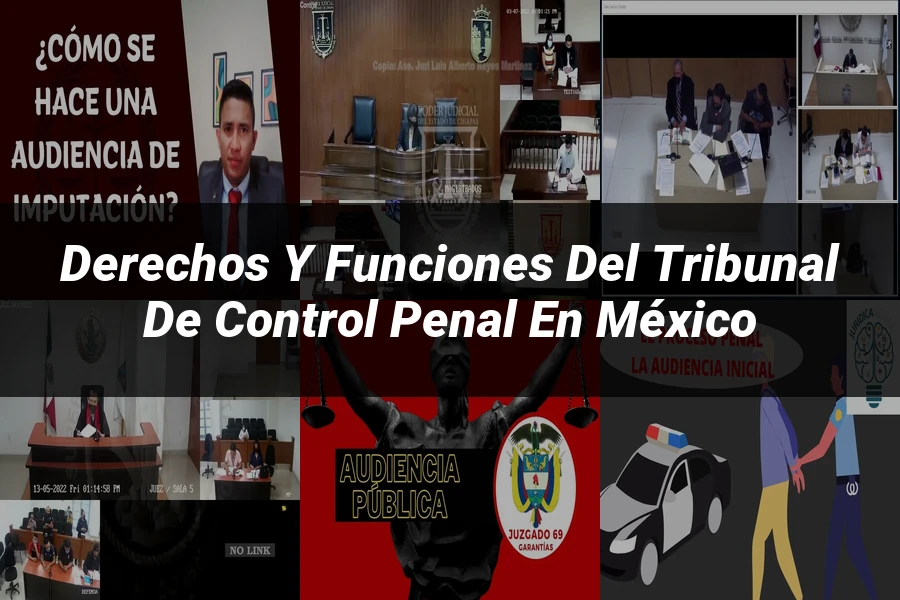 "Derechos y Funciones del Tribunal de Control Penal en México"