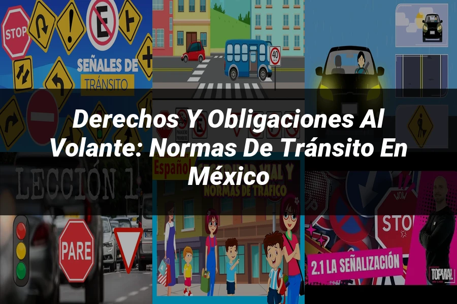 "Derechos y Obligaciones al Volante: Normas de Tránsito en México"