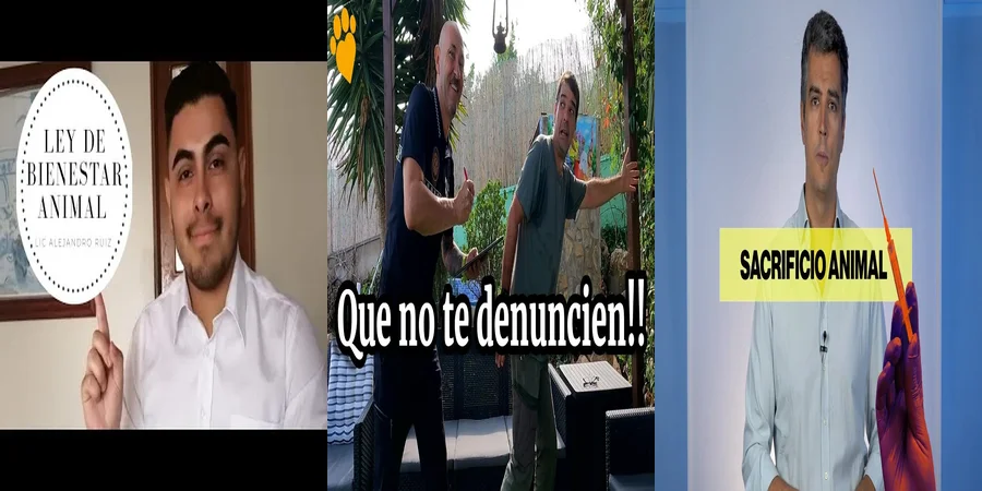 "Derechos y Obligaciones bajo la Ley de Bienestar Animal en México"