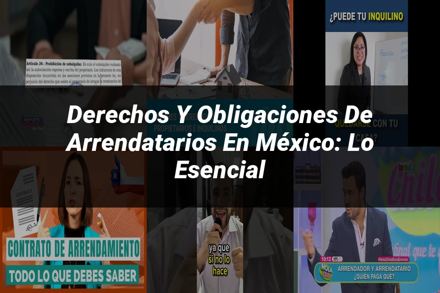 "Derechos y Obligaciones de Arrendatarios en México: Lo Esencial"