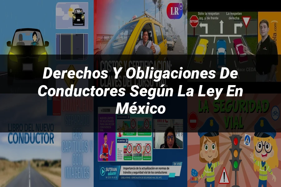 "Derechos y Obligaciones de Conductores según la Ley en México"