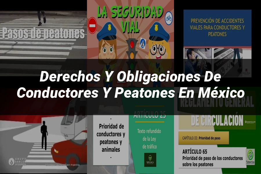 "Derechos y Obligaciones de Conductores y Peatones en México"