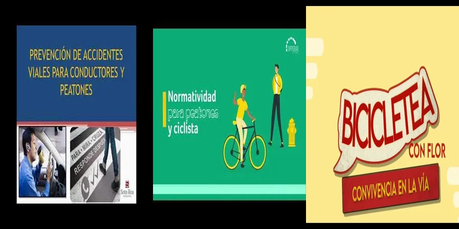 "Derechos y Obligaciones de Conductores y Peatones en México"