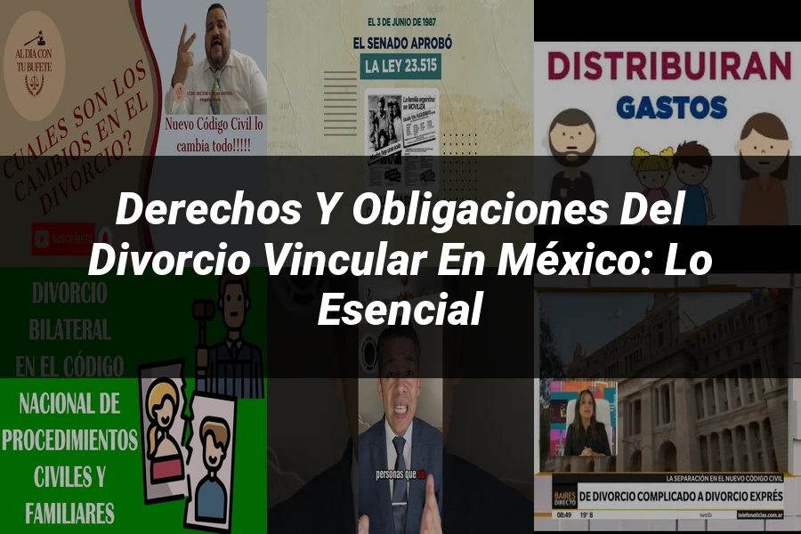 "Derechos y Obligaciones del Divorcio Vincular en México: Lo Esencial"