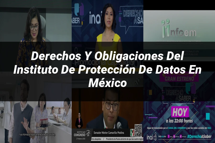 "Derechos y Obligaciones del Instituto de Protección de Datos en México"