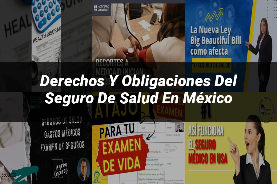"Derechos y Obligaciones del Seguro de Salud en México"