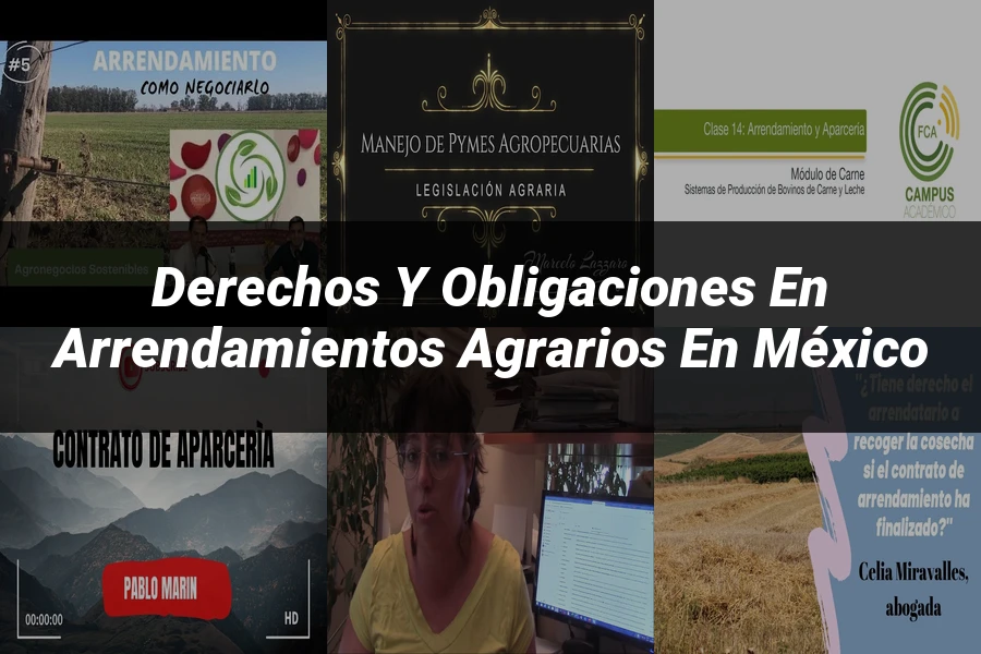 "Derechos y Obligaciones en Arrendamientos Agrarios en México"