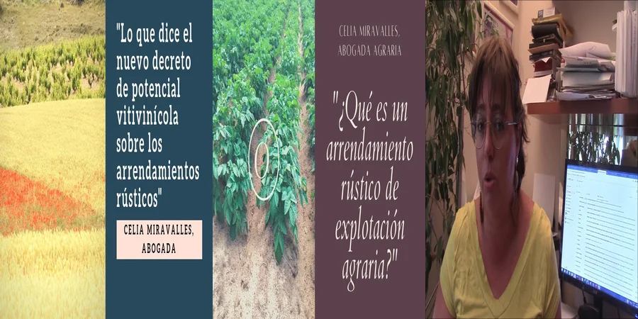 "Derechos y Obligaciones en Arrendamientos Agrarios en México"
