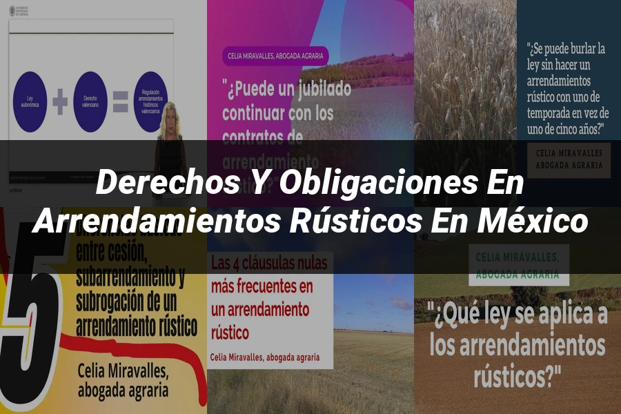 "Derechos y Obligaciones en Arrendamientos Rústicos en México"