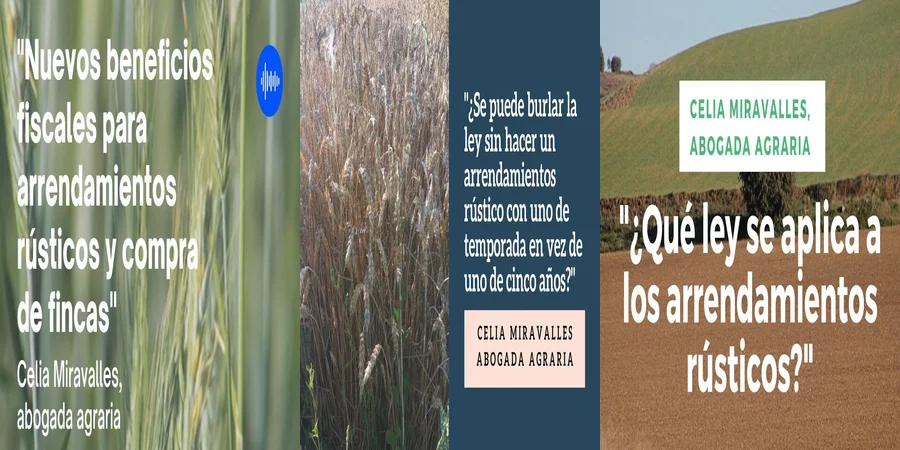 "Derechos y Obligaciones en Arrendamientos Rústicos en México"