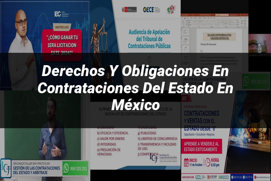 "Derechos y Obligaciones en Contrataciones del Estado en México"